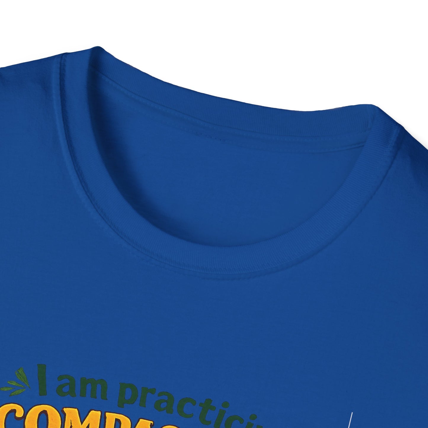 "I am practicing compassion, mindfulness and loving kindness" Spiritual Tee