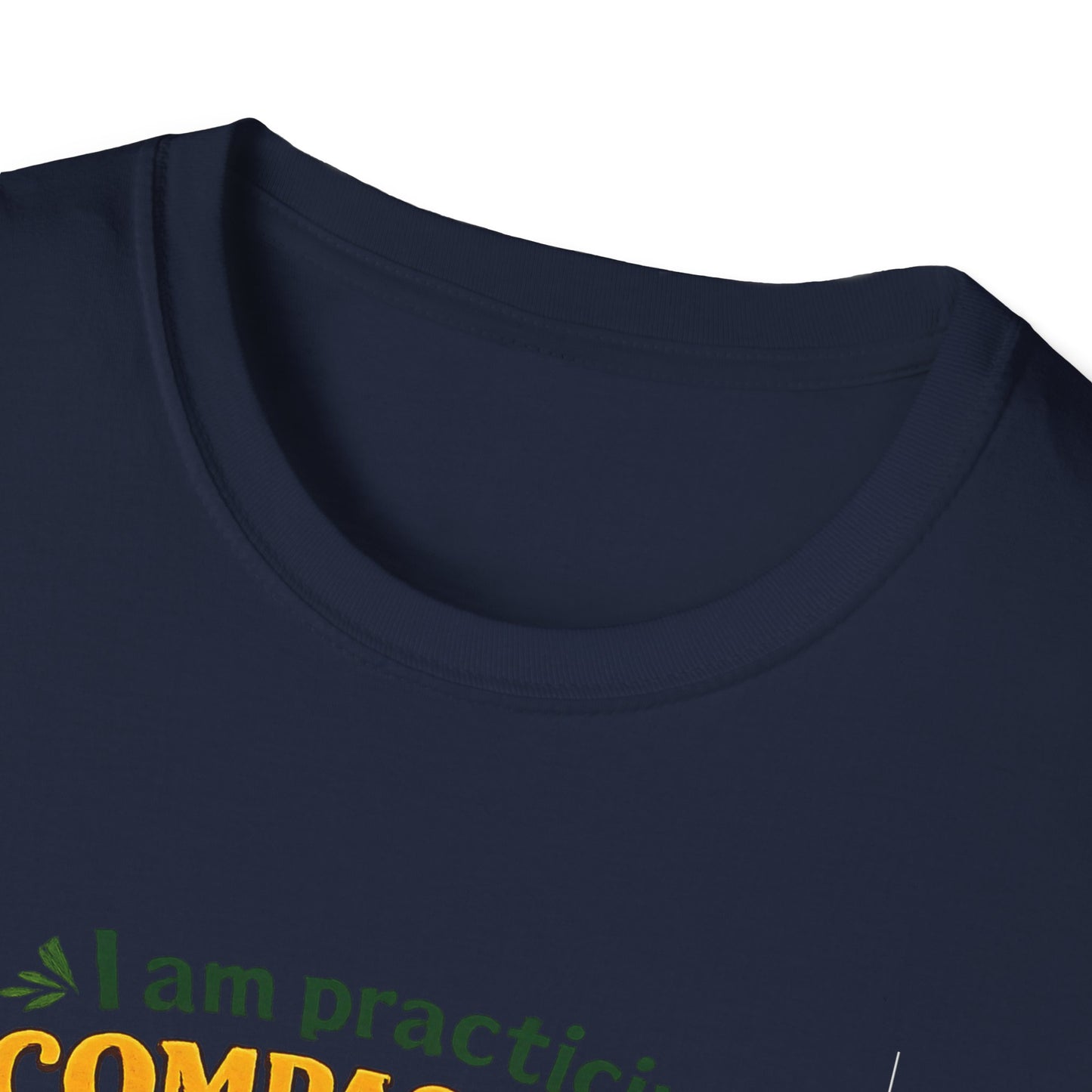 "I am practicing compassion, mindfulness and loving kindness" Spiritual Tee