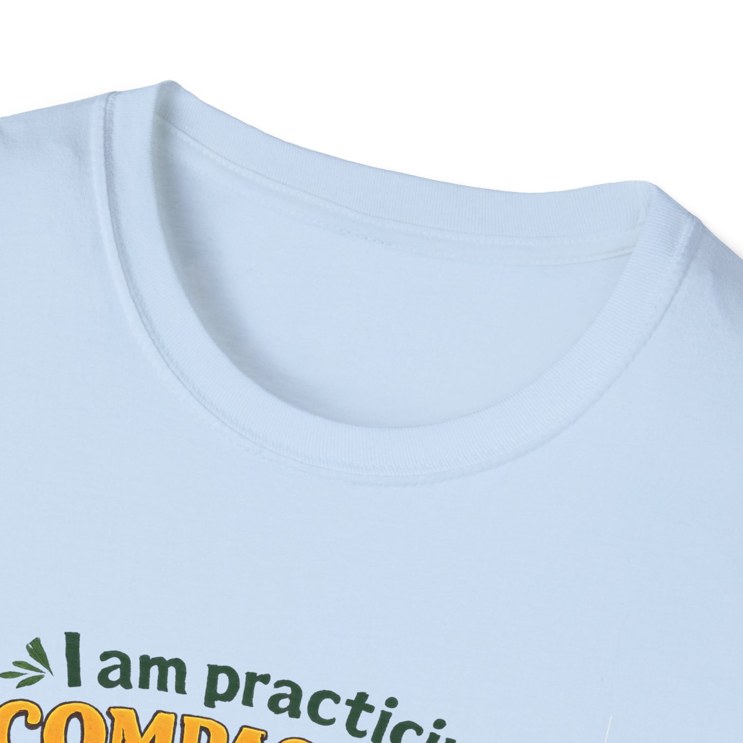 "I am practicing compassion, mindfulness and loving kindness" Spiritual Tee